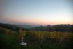 DSC 0878.JPG